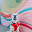 Dog Collar - Neon Red