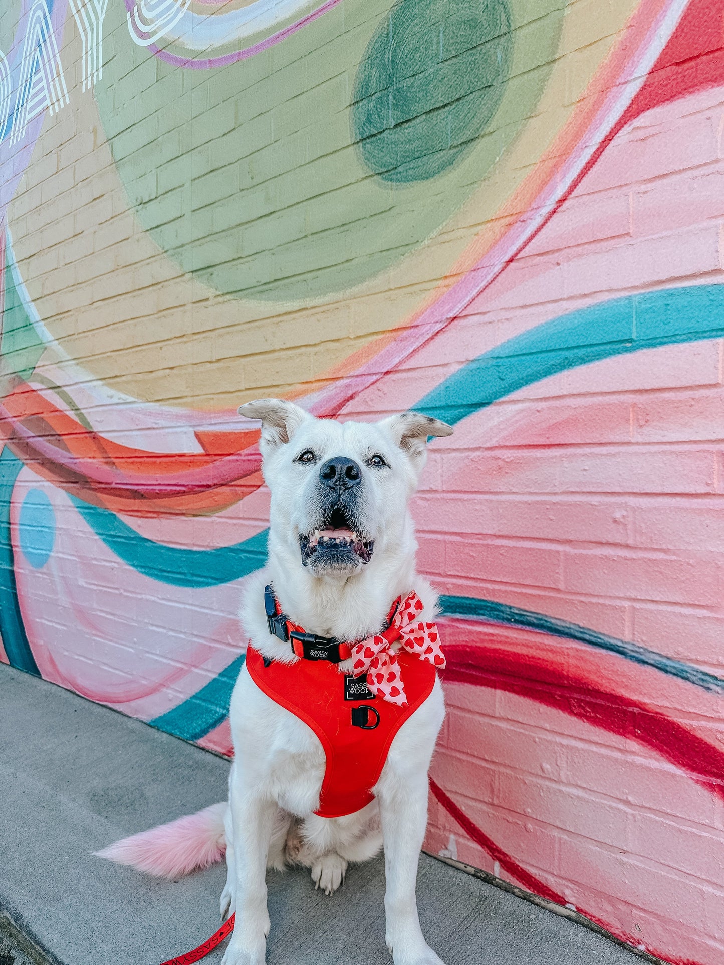 Dog Adjustable Harness - Neon Red