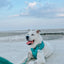Dog Rope Leash - Ombre Teal