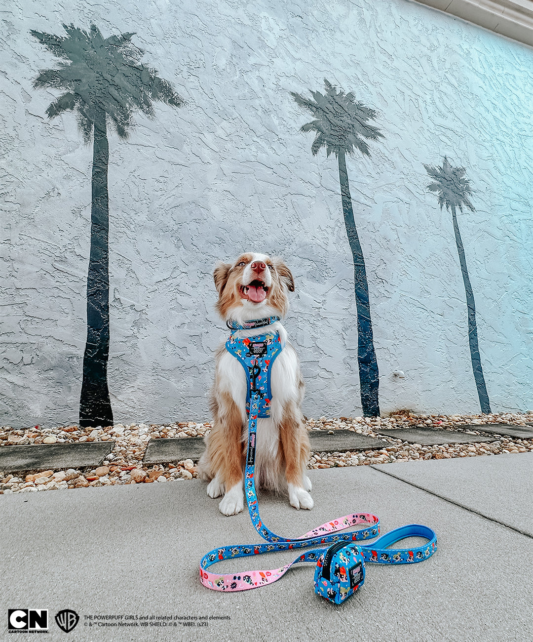 Dog Collar - The Powerpuff Girls™ (Blue)
