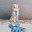 Dog Leash - The Powerpuff Girls™ (Blue)