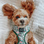 Dog Adjustable Harness - Under the Mistletoe