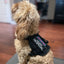 DAD SAYS I’M SPECIAL Morale Patch