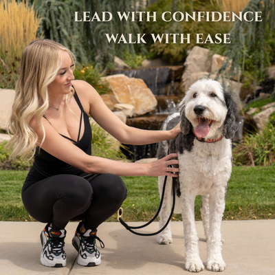Calm Command © Hands Free, No-Pull Leash