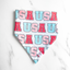 Patriotic USA Dog Bandana