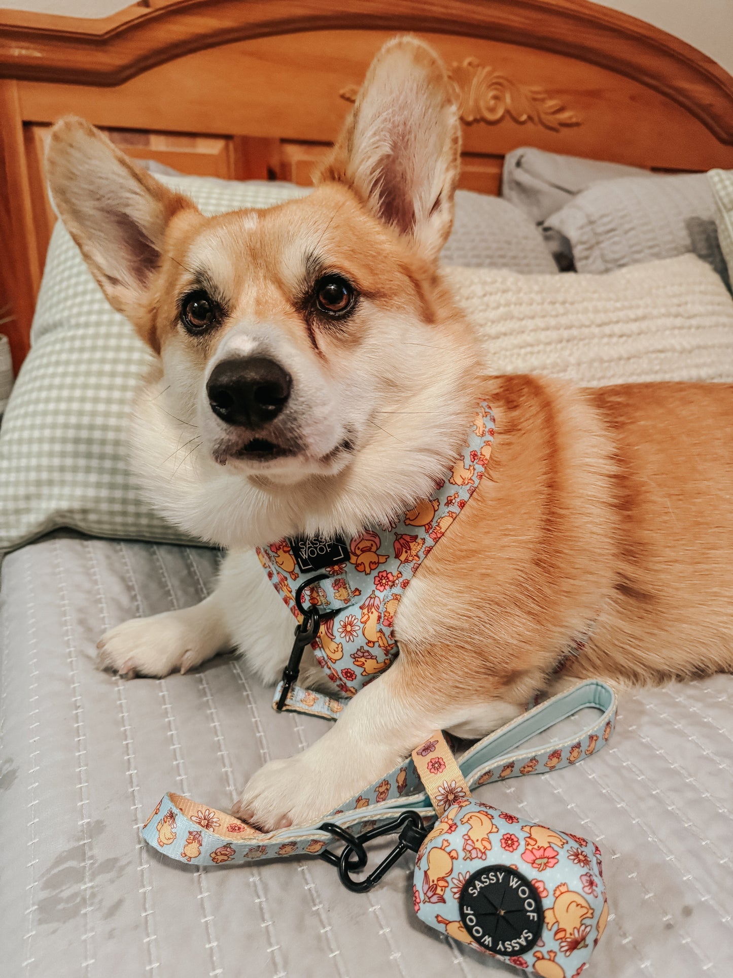 Dog Leash - Good Duck, Babe!