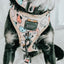 Dog Collar - Mixed With Love
