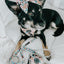 Dog Leash - Mixed With Love