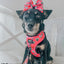 Dog Adjustable Harness - The Powerpuff Girls™ (Love)