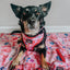 Dog Adjustable Harness - Mean Girls™