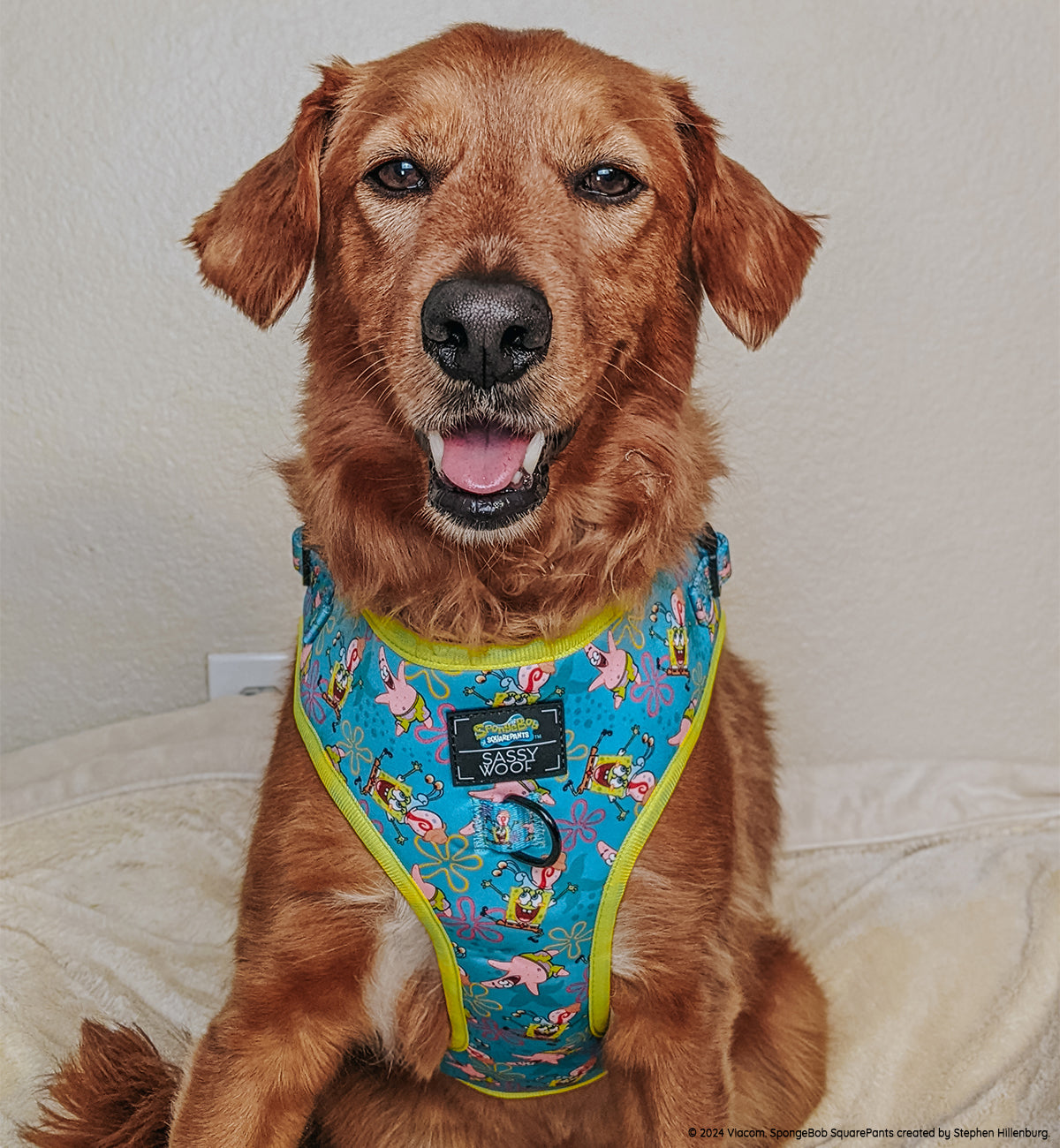 Dog Adjustable Harness - SpongeBob SquarePants™ Jelly Fishin'