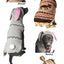 Foxy Hoodie Dog Sweater