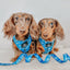 Dog Adjustable Harness - KEN™
