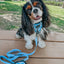 Dog Adjustable Harness - Blueberry Milk