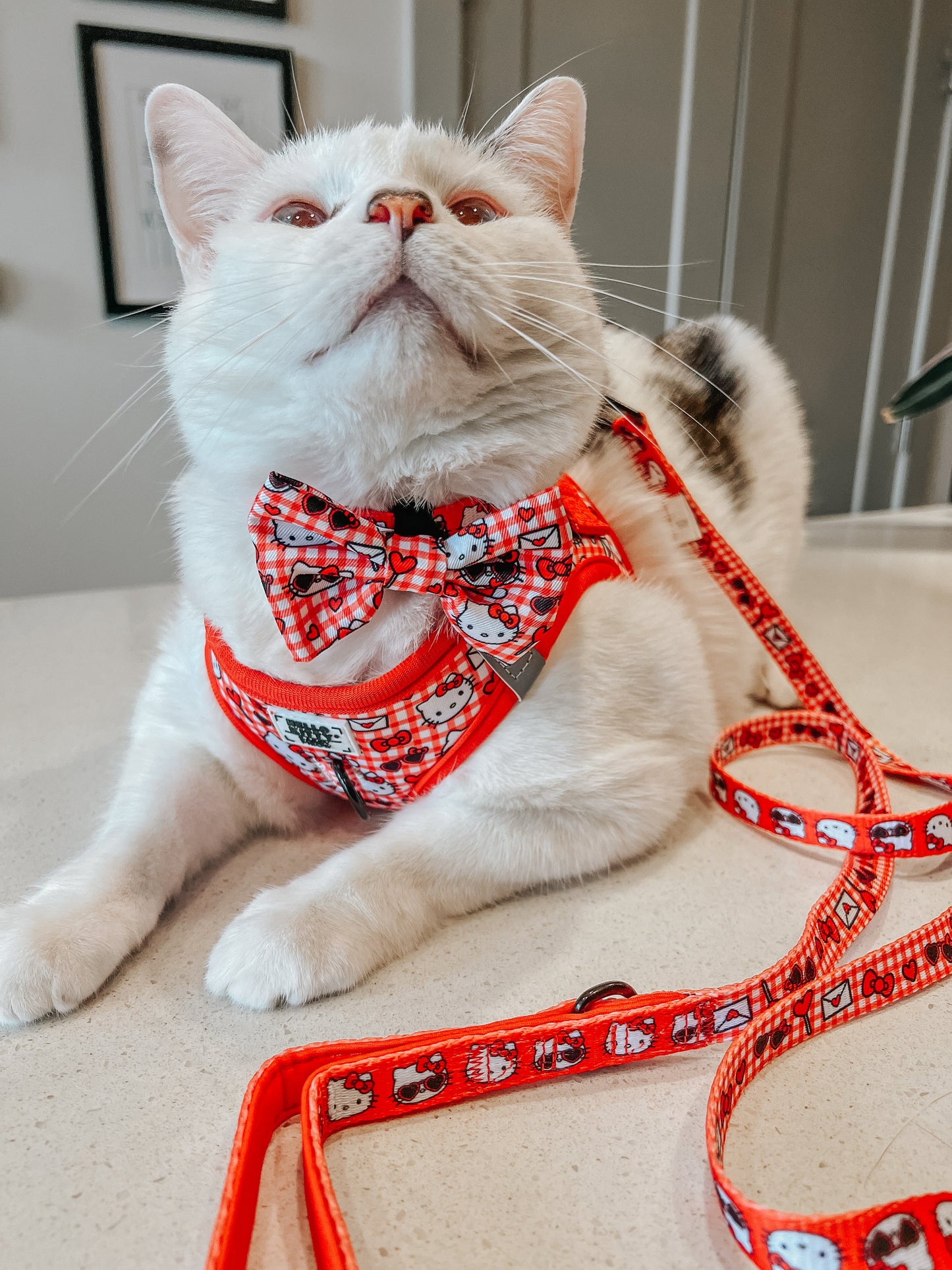 Cat Step-In Harness - Hello Kitty® Red Classic