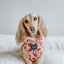 Dog Adjustable Harness - Pie There!