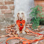 Dog Leash - Foxy