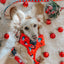 Dog Adjustable Harness - Disney Holiday Collection
