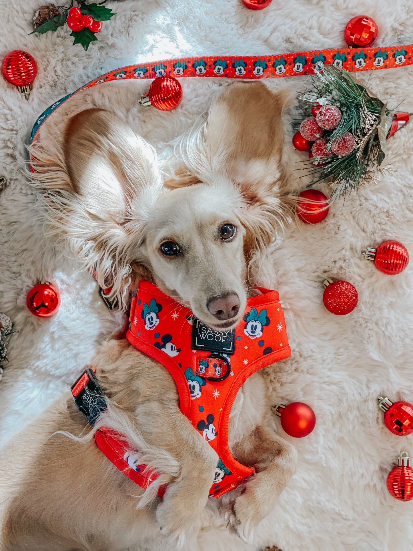 Dog Adjustable Harness - Disney Holiday Collection