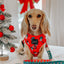 Dog Adjustable Harness - Disney Holiday Collection