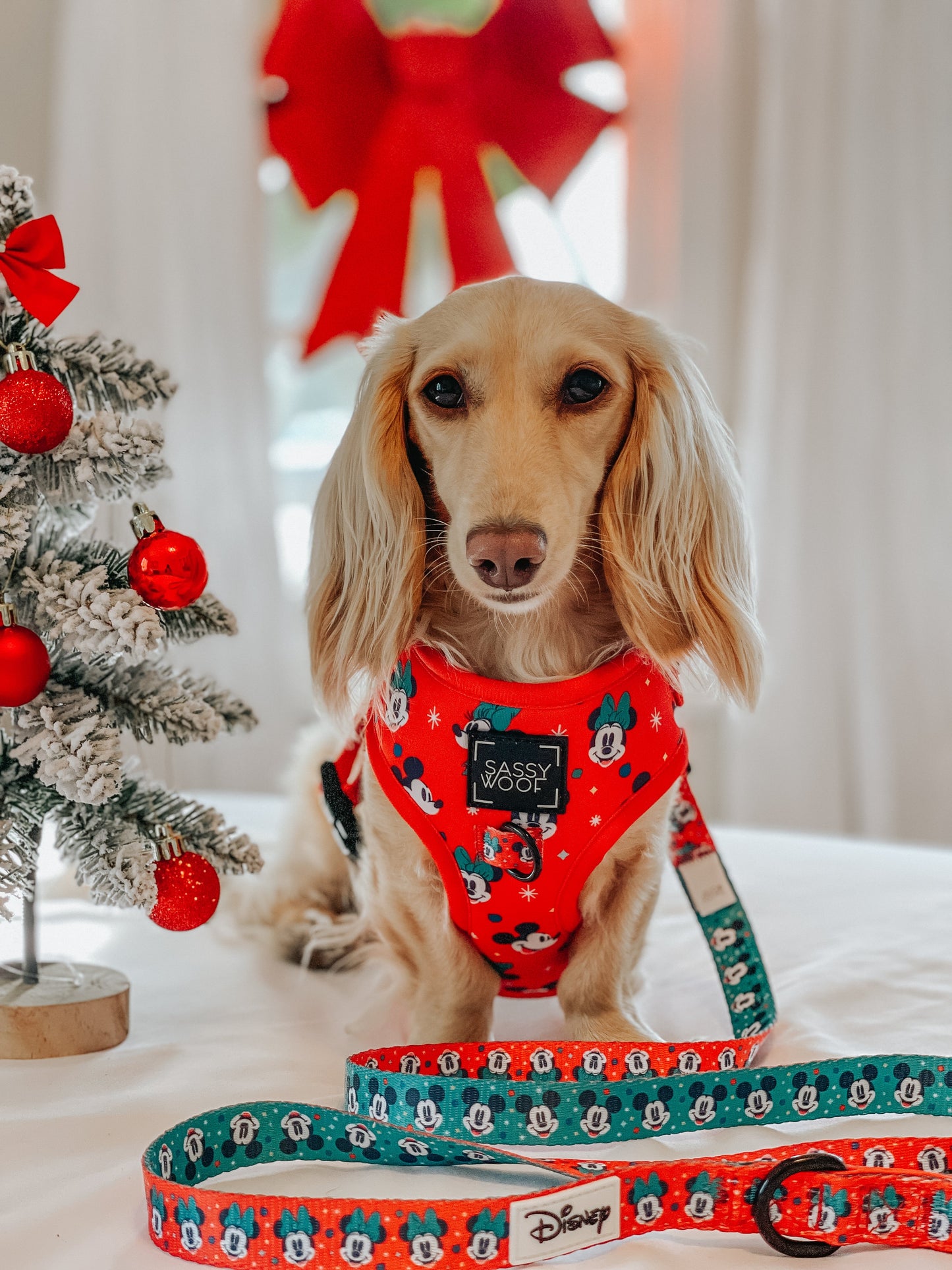 Dog Adjustable Harness - Disney Holiday Collection