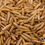 22LB Chubby Dried Black Soldier Fly Larvae