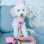 Dog Rope Leash - Sunkissed