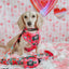 Dog Collar - The Powerpuff Girls™ (Love)