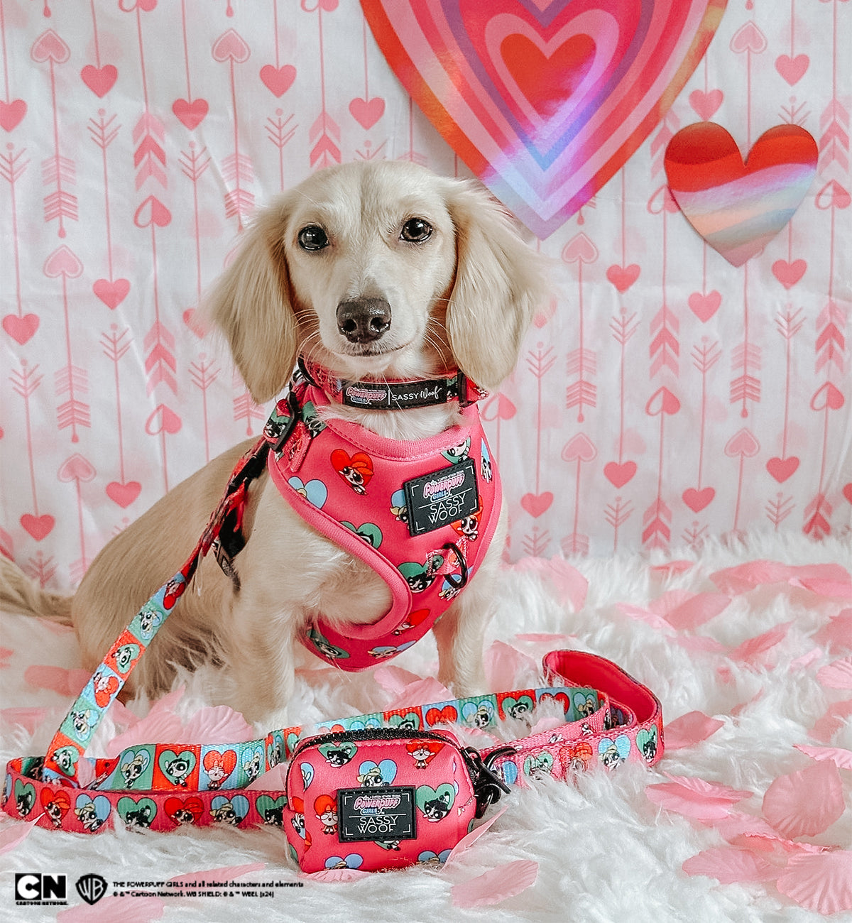 Dog Collar - The Powerpuff Girls™ (Love)