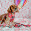 Dog Adjustable Harness - The Powerpuff Girls™ (Love)