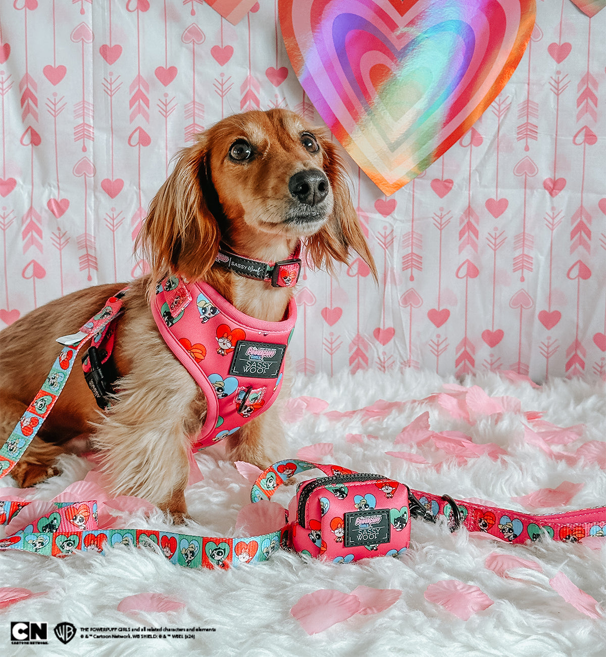 Dog Adjustable Harness - The Powerpuff Girls™ (Love)