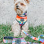Dog Collar - Love You Fur You