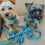 Dog Collar - SpongeBob SquarePants™ Jelly Fishin'