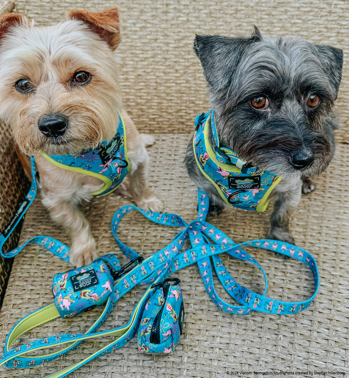 Dog Collar - SpongeBob SquarePants™ Jelly Fishin'