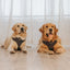 Dog Adjustable Harness - Reflection