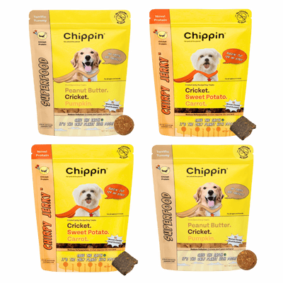 Gut Healthy Dog Treat Variety Bundle