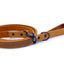 Celtic Sport Leather Dog Leash