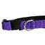 cuteNfuzzy® Adjustable Padded Dog Collar