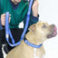 cuteNfuzzy® Adjustable Padded Dog Collar