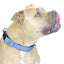 cuteNfuzzy® Adjustable Padded Dog Collar