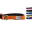 cuteNfuzzy® Adjustable Padded Dog Collar
