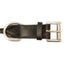 CuteNfuzzy Round Rolled Fancy Leather Dog Collar with Stainless Steel Rolled Buckle for Comfort