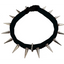 CoyoteCollar