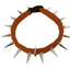 CoyoteCollar
