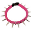 CoyoteCollar
