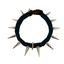 CoyoteCollar