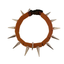 CoyoteCollar
