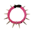 CoyoteCollar