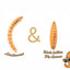 2lb Chubby Mix (Mealworm & Black Soldier Fly Larvae Combo)