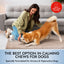 Pet Vet Products® Dog Calming Chews – Beef Liver Soft Chews for Stress, Relaxation & Anxious Behavior Support, 60 Count